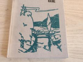 Landšafto architektūra kaime - A. Tauras 1974m
