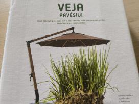 Vejos seklos