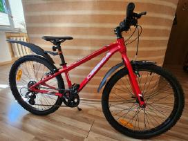 Orbea dviratis