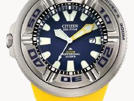 Citizen Nardymo laikrodis