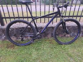 Carrera Hellcat 29