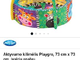 Lavinamasis kilimėlis