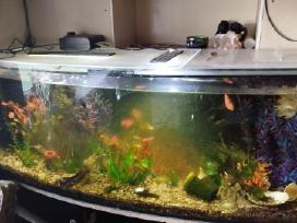 Parduodu 400ltr akvariuma