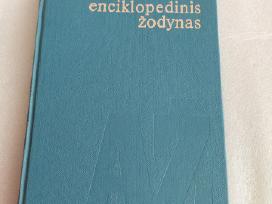 Astronomijos enciklopedinis žodynas