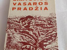 Šimtosios vasaros pradžia