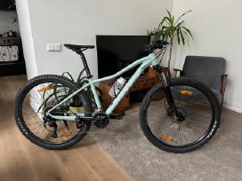 Scott contessa active 40
