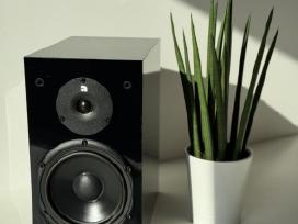 Kalonėlė Audio Pro Black Pearl (1 vnt.)