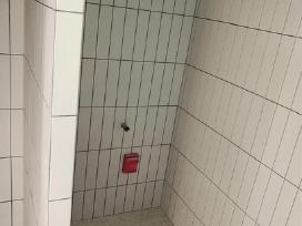 Plytelių klijavimas