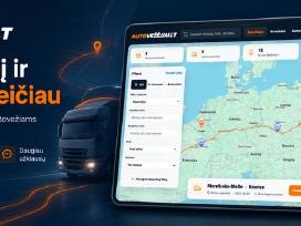 Parduodami IT projektai, Web sistemos