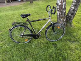Panther Regent 28" miesto dviratis