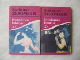 S. Žeromskis - Nuodemės istorija