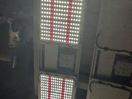 Samsung Lm301h Quantum. pilno spectro LED + Uv
