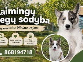 Šunų priežiūra su nakvyne Vilniaus r.