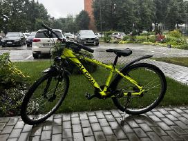 Dviratis Alpina Eco