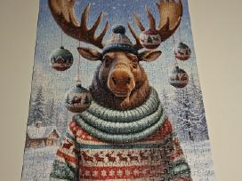Delionė puzzle 500