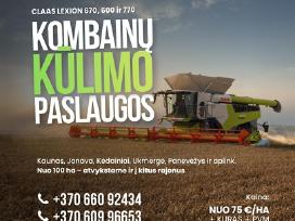 Javų Kūlimo Paslauga Claas Lexion 670/600/770