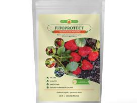 Mikrobiologinis preparatas Fitoprotect