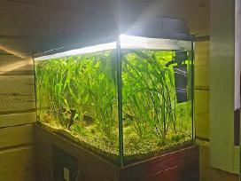 Akvariumas 200 l