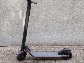 Ninebot Es1 Elektrinis paspirtukas