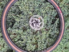 Carbon Zipp 101 XPLR Ratai Su Padangomis