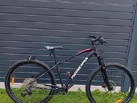 Principia 29 er orine sake lengvas