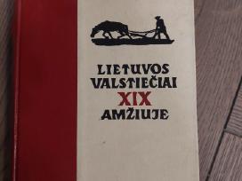 Lietuvos valstiečiai XIX amžiuje