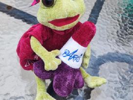 Varle