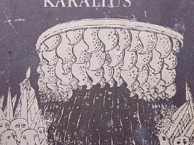 Piemenukas ir elfų karalius. Švedų pasakos