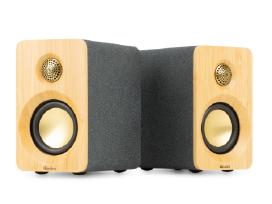 Audizio Ks16 aktyvios lentyninės kolonėlės 100w Bt