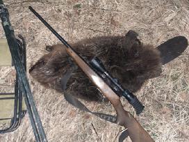 22wmr(magnuminė mielkaskė)