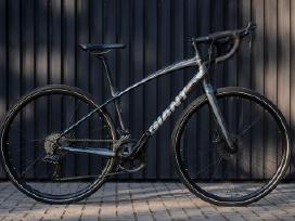 Giant anyroad M dydis