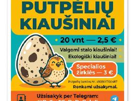 Putpelių kiaušinių