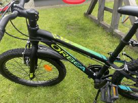Orbea Mx20 Dirt