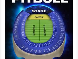 Pitbull