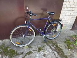 Miesto dviratis „goldrad“ (Rėmas 58cm / XL)