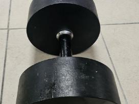 30kg 1vnt hantelis surenkamas