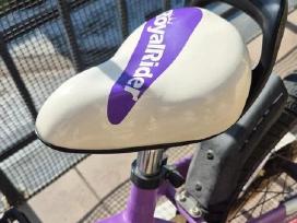 Royalrider bicycle/dviračių