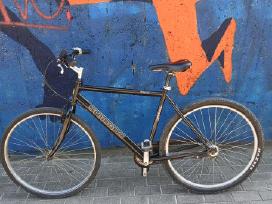 Dviratis Classic Magnum