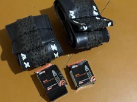 MTB 29" Maxxis padangos + Tpu kameros