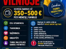 Ieškau valytojos darbo pusę etato!