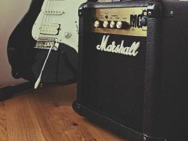 Gitaros kubas: Marshall Mg10