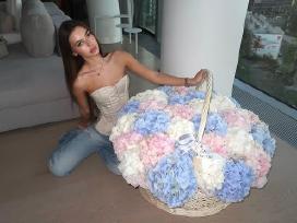 Ballerina , very gentle girl