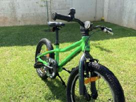 Scott Roxter 1