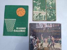 Kauno žalgiris