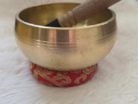 Dainuojantis Tibeto dubuo 16cm, naujas