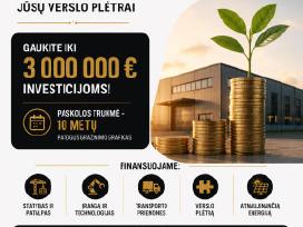 Ilte Ir Banko Paskolos Verslo Planai
