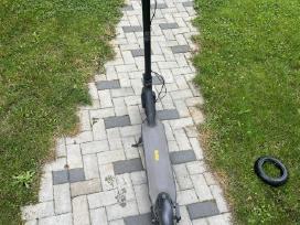 Segway ninebot max G30