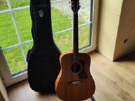 Guild D-240e Limited elektroakustinė gitara