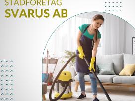 Pastoviam darbui Švedijoje reikalinga valytoja