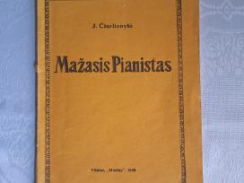 Mažasis pianistas - J. Čiurlionytė